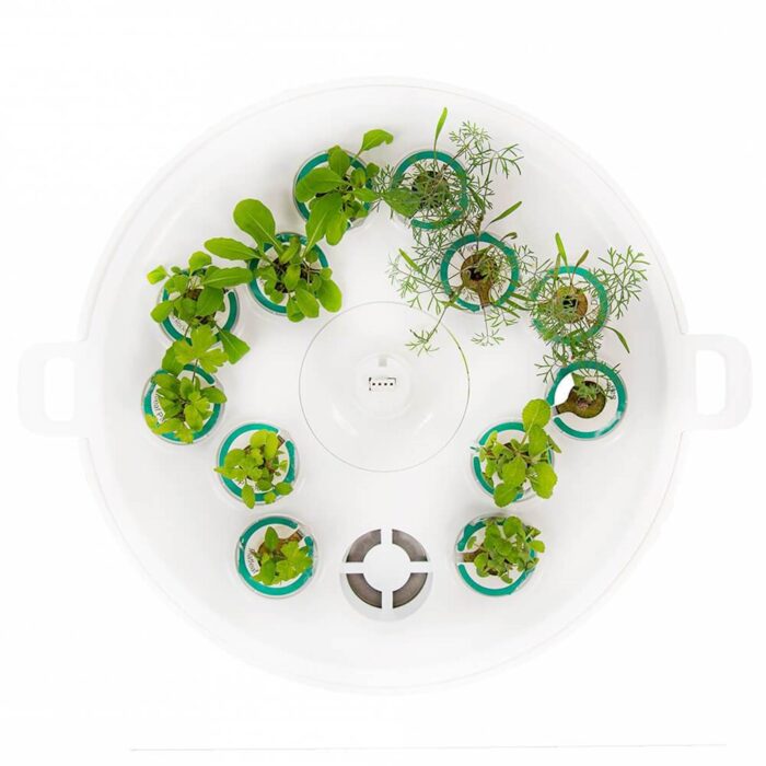 Plantui pladenj za kalitev do 12 rastlin (Pre-grow Tray) - slika 3
