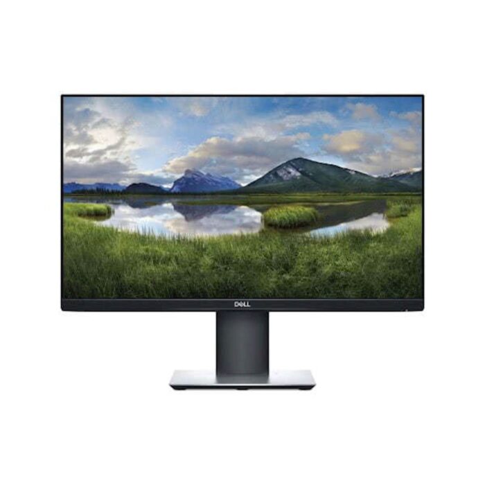 Monitor DELL P2319H