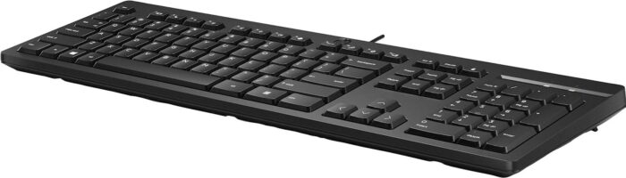 Tipkovnica HP USB 125 SLO - Image 4