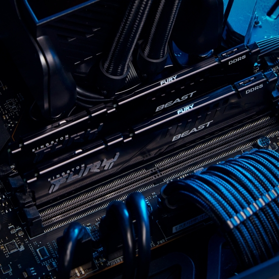 Kingston Fury Beast 16GB DDR5-5600 DIMM PC5-44800 CL40, 1.25V - Image 6