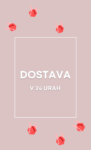 Najhitrejša dostava že v roku 24-ur!