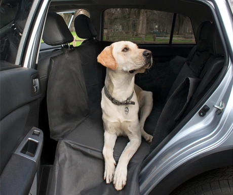 Pet Transport prevleka za zadnje sedeže pri prevozu živali, univerzalna, - Image 6