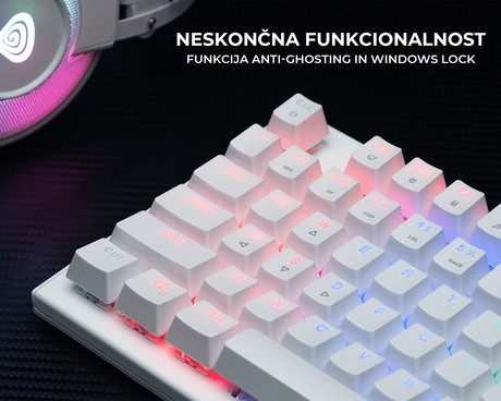 GENESIS THOR 303 TKL gaming tipkovnica, mehanska, RGB LED osvetlitev, - Image 4