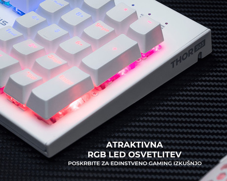 GENESIS THOR 303 gaming tipkovnica, mehanska, RGB LED osvetlitev, - Image 5