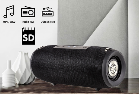 MANTA SPK15GO Bluetooth zvočnik + woofer, BT5.0/USB/MicroSD/Radio - Image 3
