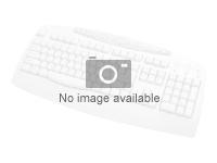 MS Srfc Accy Proj KB CF SC Eng Intl CEE