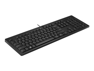 HP 125 Wired Keyboard SLO - Image 3