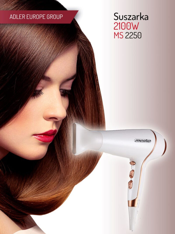 Mesko sušilec las MS2250 2100W - Image 4