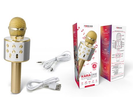 FOREVER BMS-300 LITE mikrofon & zvočnik, zvočnik, KARAOKE, Bluetooth, microSD, - Image 5