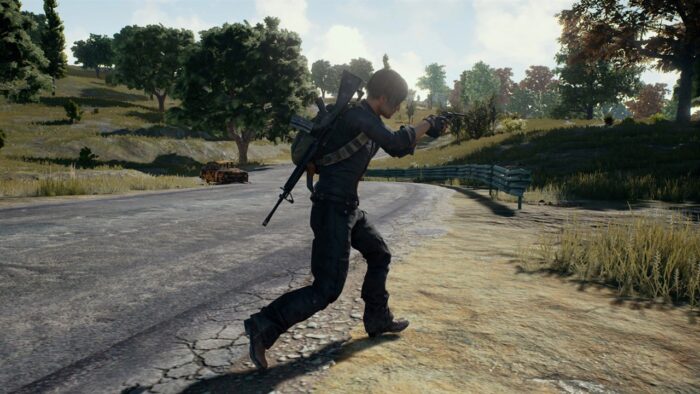 PlayerUnknown's Battlegrounds (PS4) - Image 4