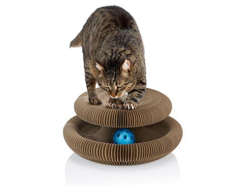 Pet Toys praskalnik za mačke, 3v1, igrača, žoga, zložljiv, 23x11x11cm - Image 3