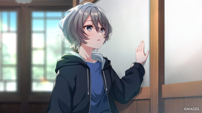 SINce Memories: Off The Starry Sky (Nintendo Switch) - Image 4