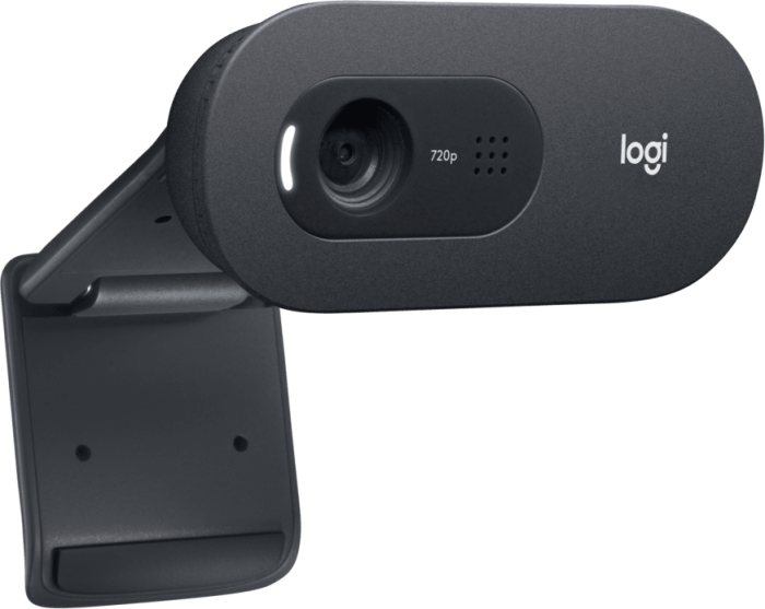 Logitech C505e HD spletna kamera - Image 4