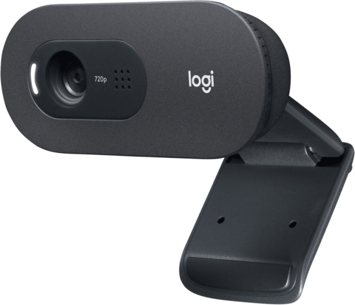 Logitech C505e HD spletna kamera - Image 3