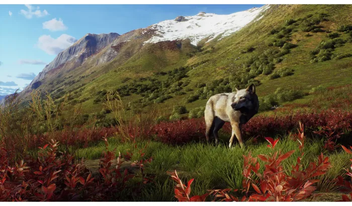 Way Of The Hunter - Wild Expeditions (Playstation 5) - Image 3