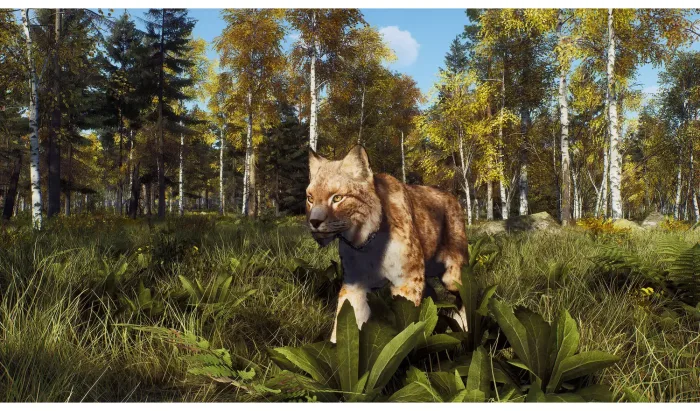Way Of The Hunter - Wild Expeditions (Playstation 5) - Image 5