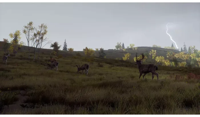 Way Of The Hunter - Wild Expeditions (Playstation 5) - Image 6
